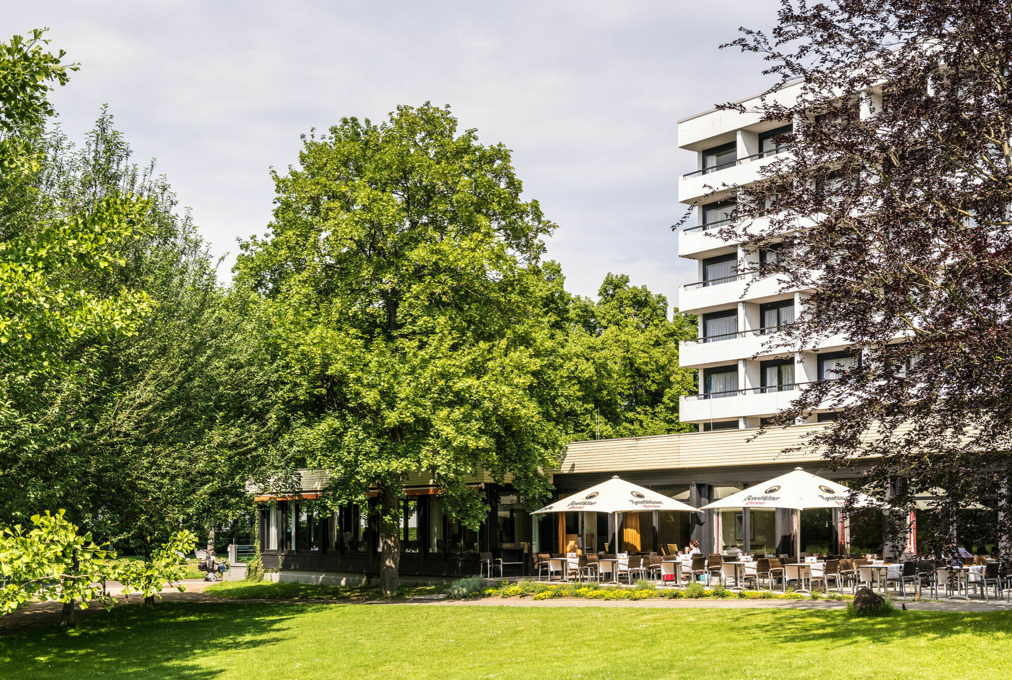 Dorint Parkhotel Bad Neuenahr Exteriér fotografie